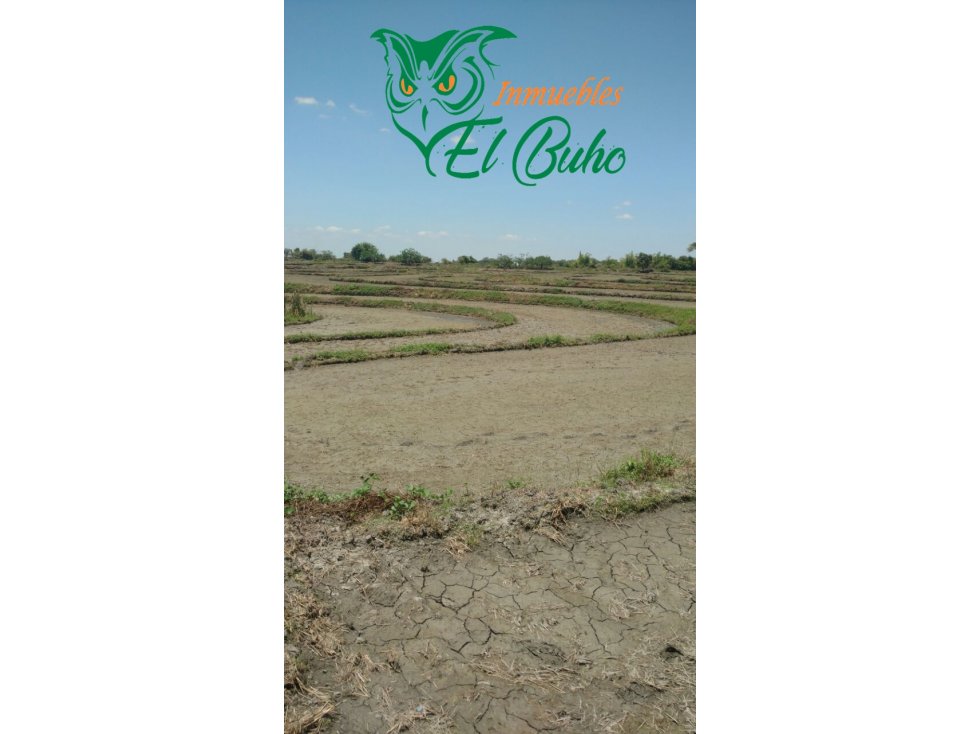 VENDO FUNDO SECTOR PARTIDOR, SAN LORENZO, PIURA - 5