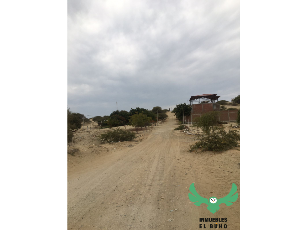 VENDO TERRENO EN LA MARIPOSA, PIURA. — foto 6