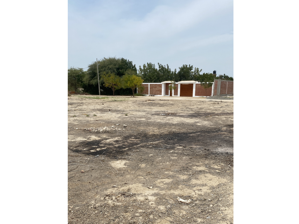 VENDO TERRENO A PRECIO DE OCASIÓN EN EJIDOS DEL NORTE, PIURA - 1