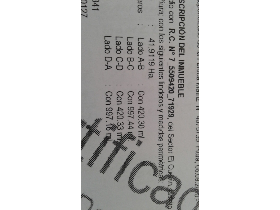 VENDO 42 Hectáreas en Catacaos - 6