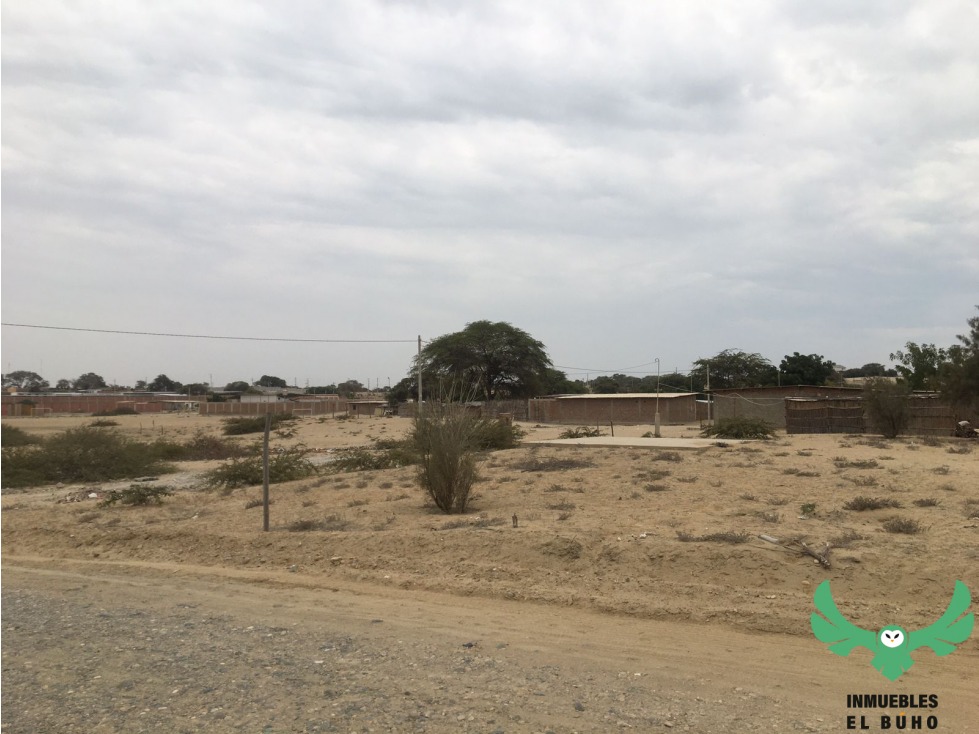VENDO TERRENO EN LA MARIPOSA, PIURA.