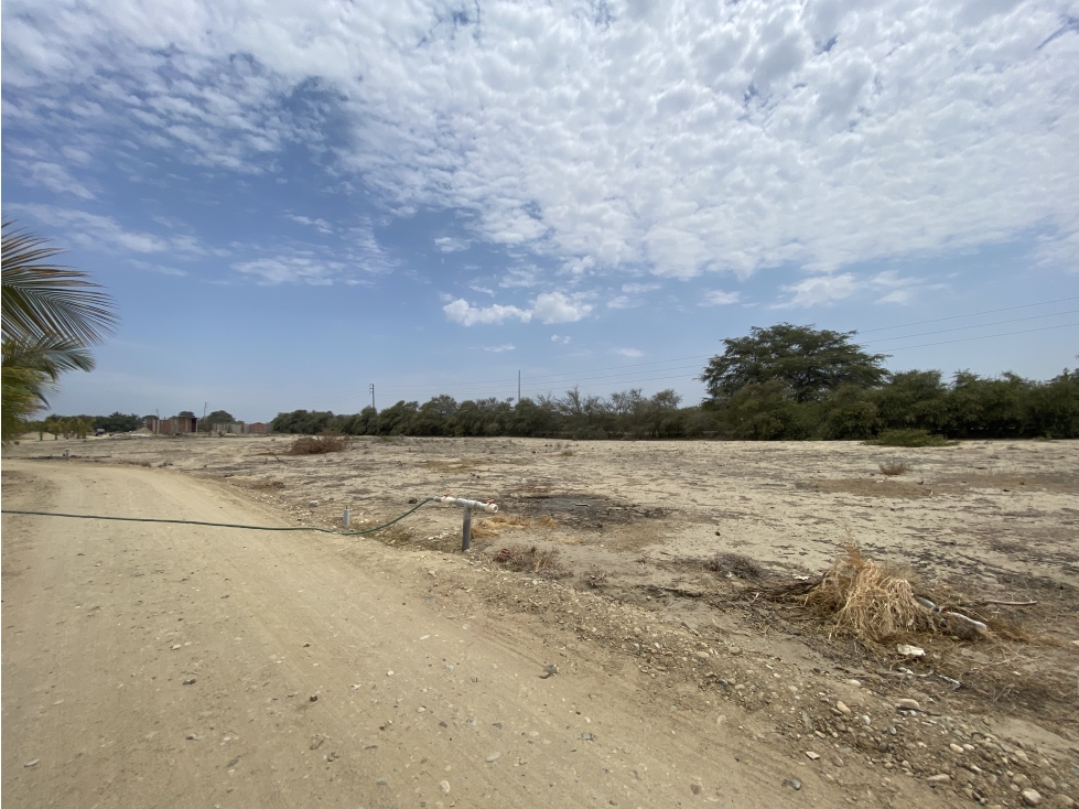 VENDO TERRENO DE CAMPO EN LAS GOLONDRINAS, PIURA — foto 3