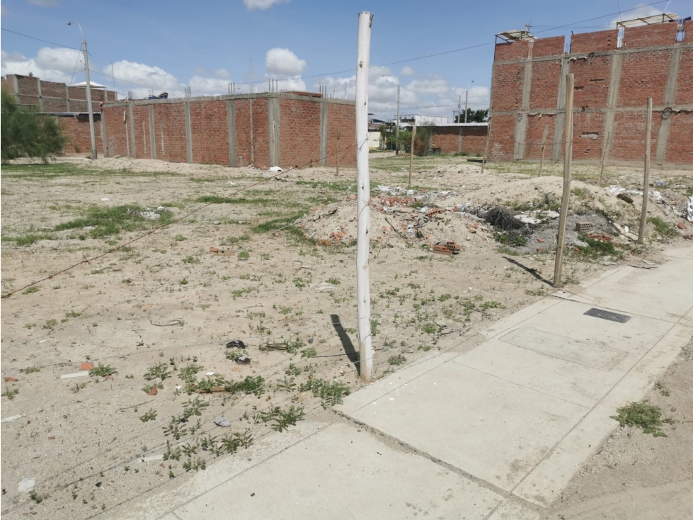 VENDO TERRENO CON PLANOS EN CASUARINAS III ETAPA - 6