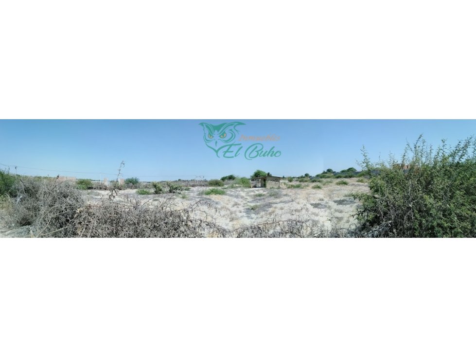VENDO TERRENO EN PAMPAS DE CASTILLA, PIURA — foto 4