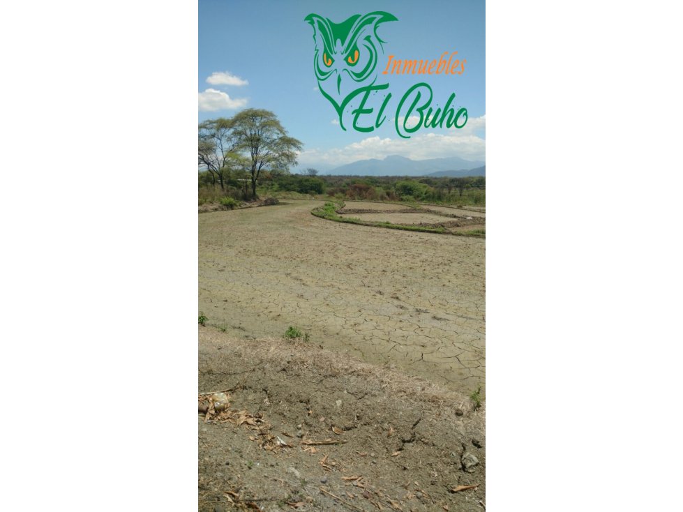 VENDO FUNDO SECTOR PARTIDOR, SAN LORENZO, PIURA - 6