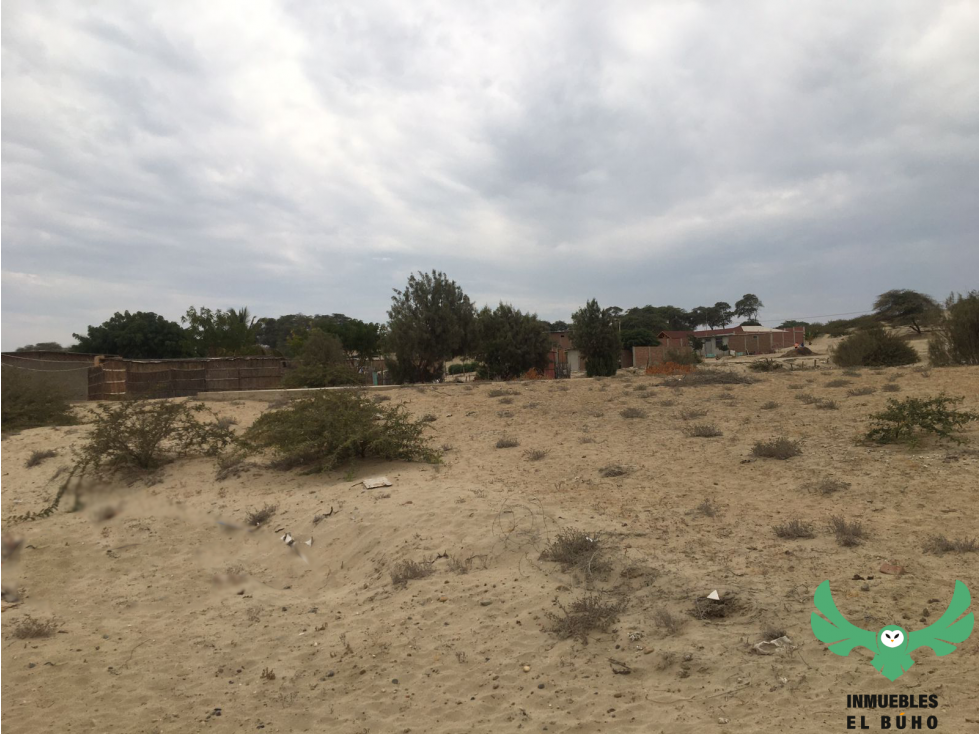 VENDO TERRENO EN LA MARIPOSA, PIURA. — foto 3