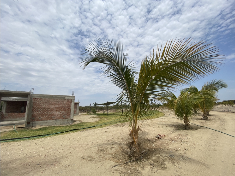 VENDO TERRENO DE CAMPO EN LAS GOLONDRINAS, PIURA — foto 5
