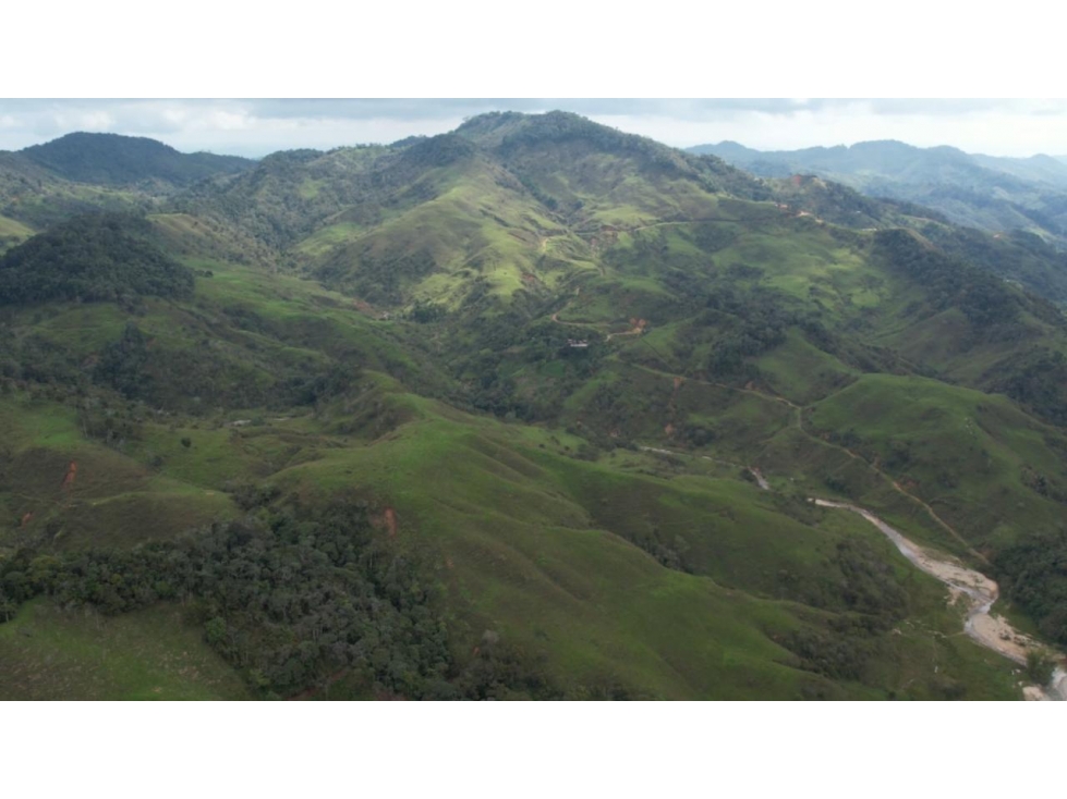 Venta de Finca Ganadera en San Roque, Antioquia - 4