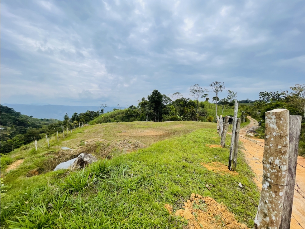 Venta de lote campestre en San Roque, Antioquia - 3