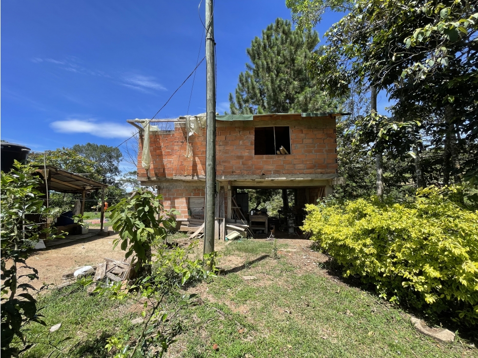 Finca agrícola de 21,5 hectáreas en San Roque, Antioquia - 6
