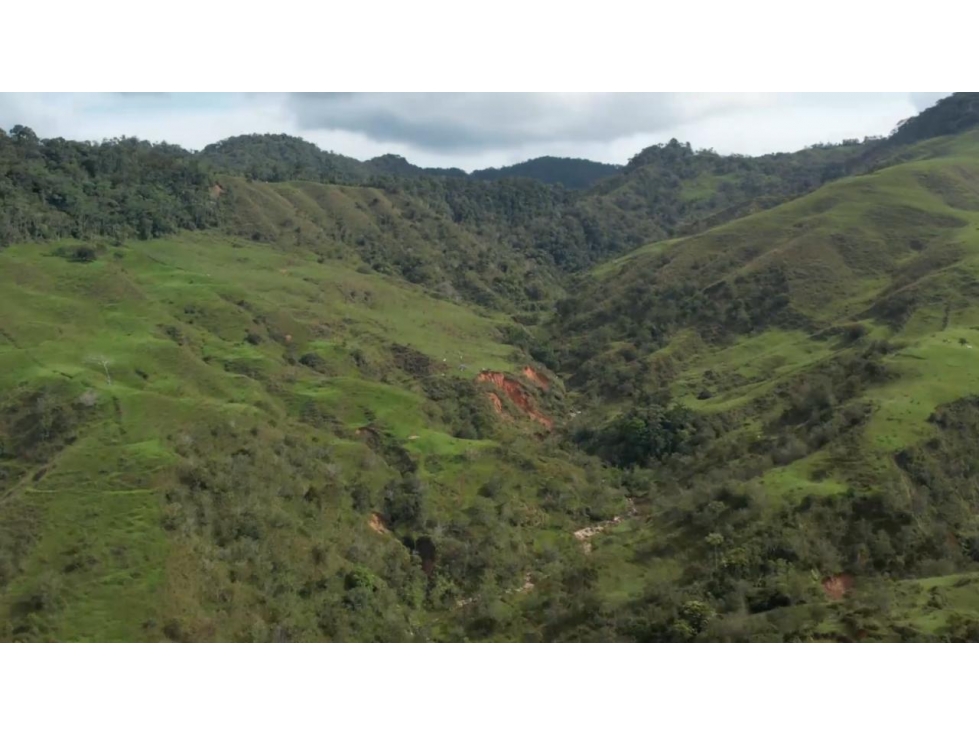 Venta de Finca Ganadera en San Roque, Antioquia - 5