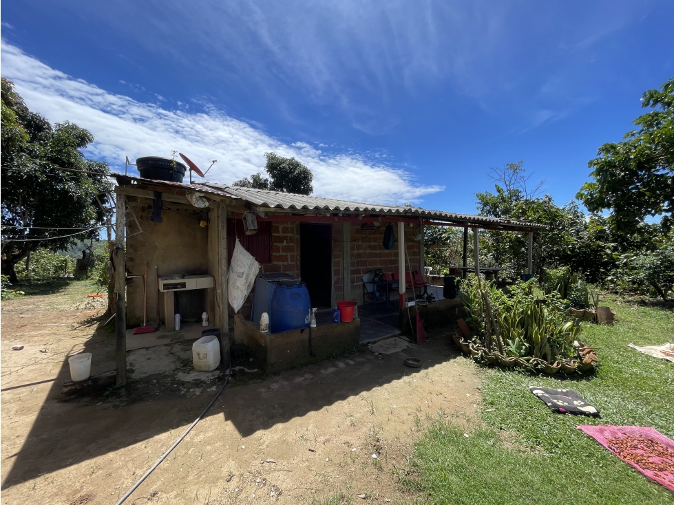 Finca agrícola de 21,5 hectáreas en San Roque, Antioquia - 4