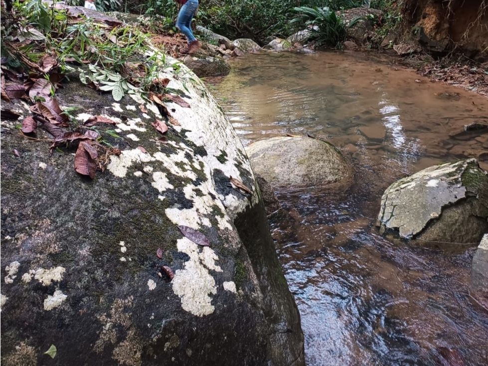 Se vende lote de 2.5 hectáreas en San Roque, Antioquia. - 2
