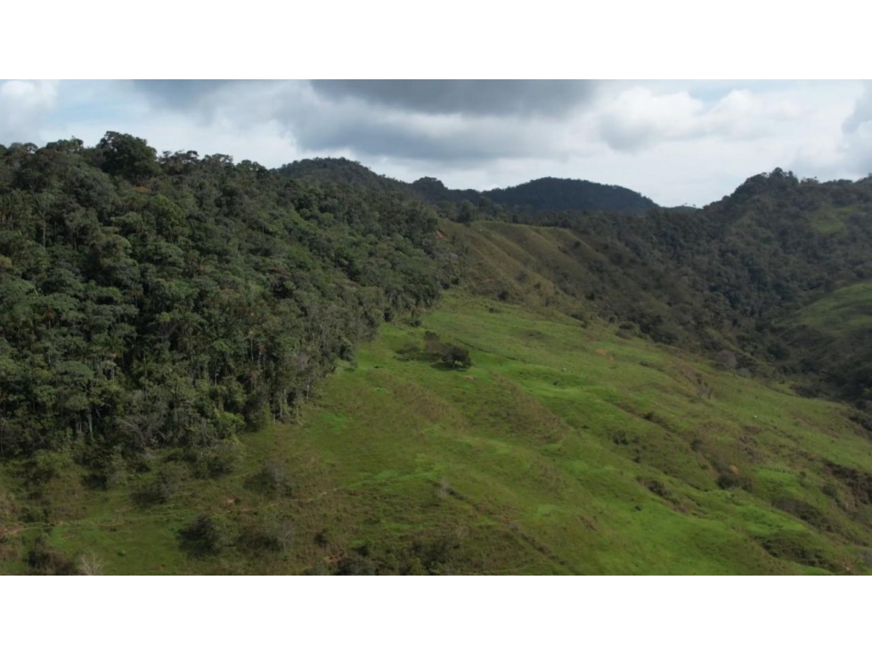 Venta de Finca Ganadera en San Roque, Antioquia - 6