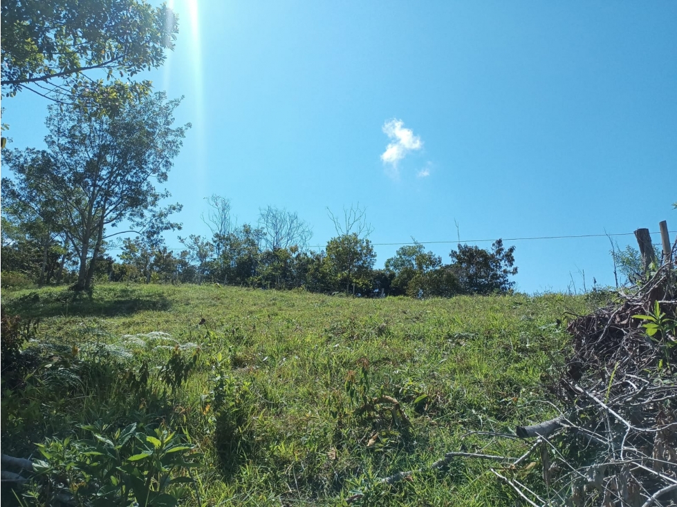 Se vende lote de 2.5 hectáreas en San Roque, Antioquia. - 1