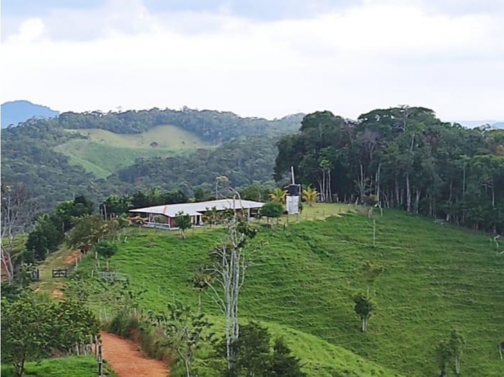 Se vende finca de 130 hectáreas San Roque, Antioquia - 3