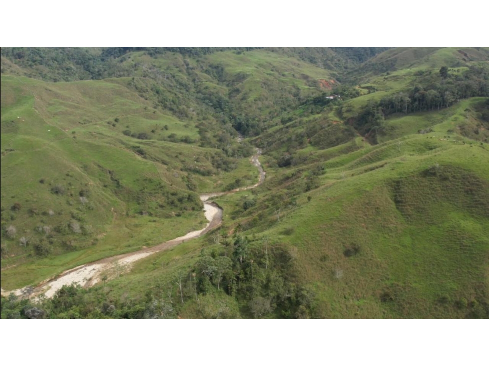 Venta de Finca Ganadera en San Roque, Antioquia - 3
