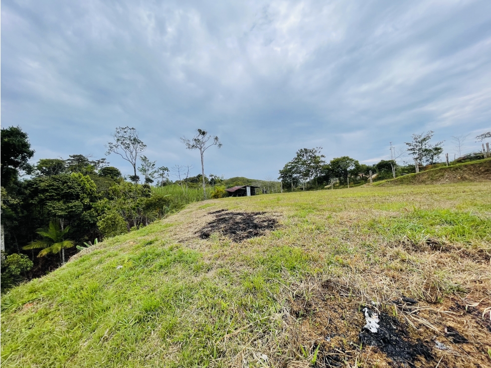 Venta de lote campestre en San Roque, Antioquia - 6