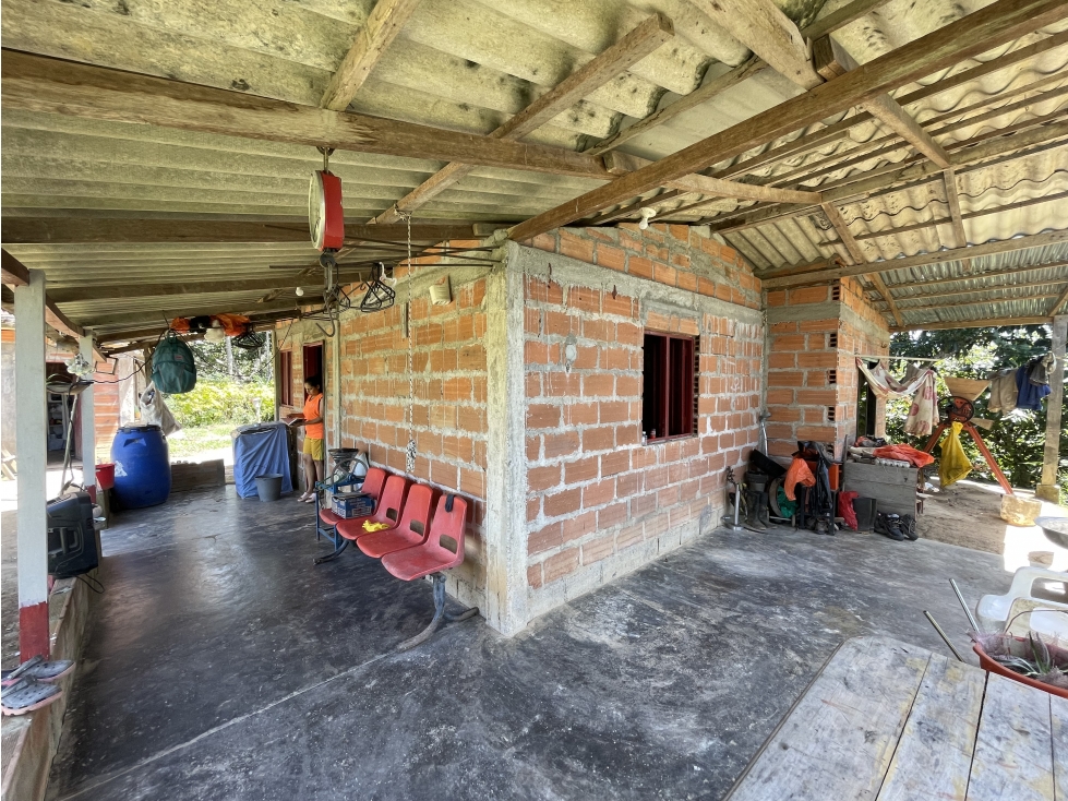 Finca agrícola de 21,5 hectáreas en San Roque, Antioquia - 5