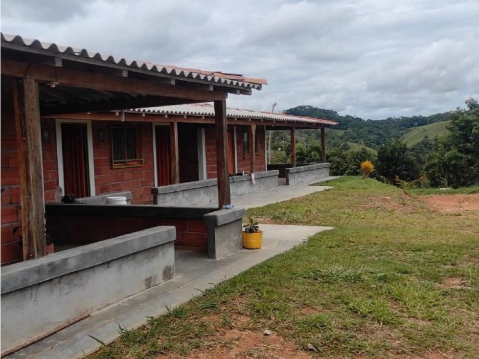 Se vende finca de 130 hectáreas San Roque, Antioquia - 4