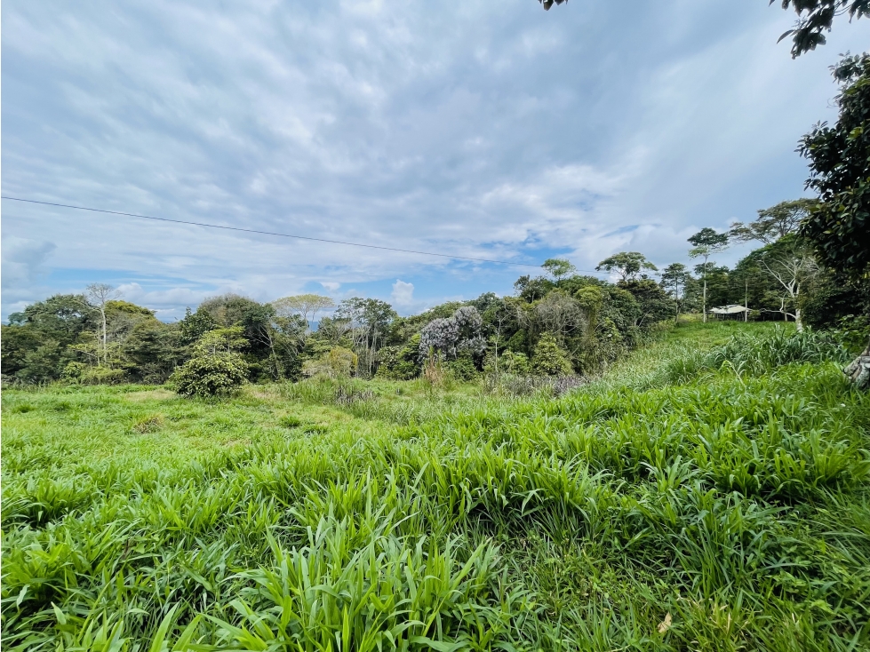 Finca de 10 hectáreas con excelente topografía en San Roque - 4