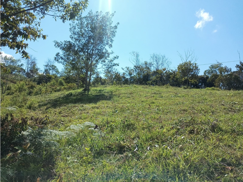 Se vende lote de 2.5 hectáreas en San Roque, Antioquia. - 5