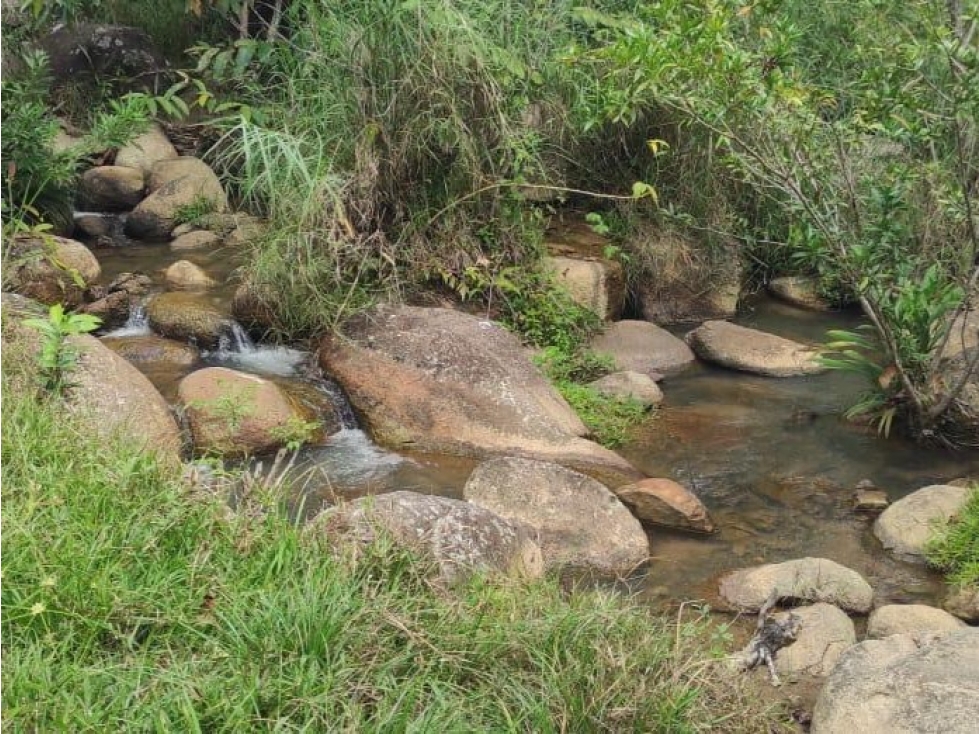 Se vende finca de 130 hectáreas San Roque, Antioquia - 5