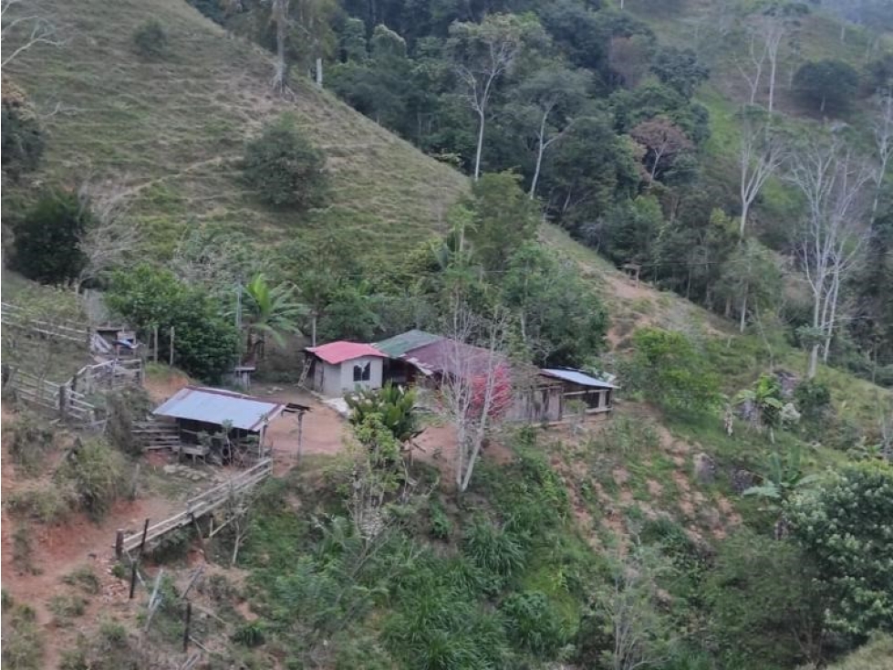Se vende finca de 130 hectáreas San Roque, Antioquia - 6