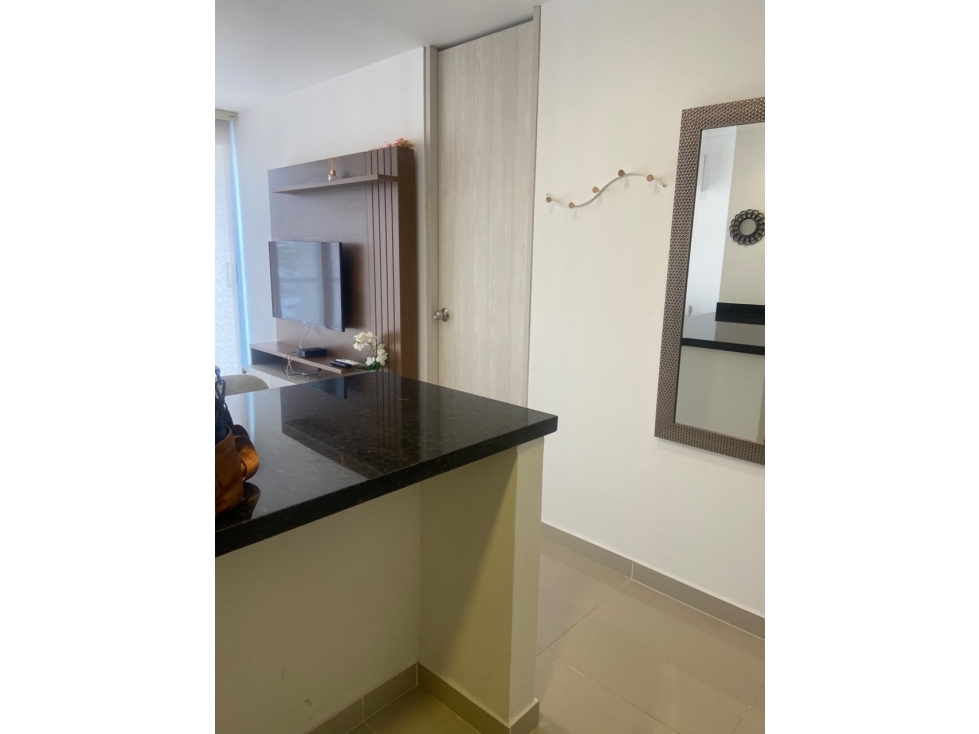 ARRIENDO APTO AMOBLADO 1HAB- CIUDAD JARDIN — foto 6