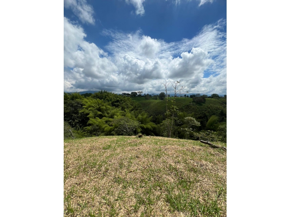 Se Vende Lote Fuera de Conjunto - Sector Hojas Anchas Circasia — foto 4