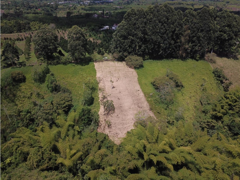 Se Vende Lote Fuera de Conjunto - Sector Hojas Anchas Circasia — foto 2