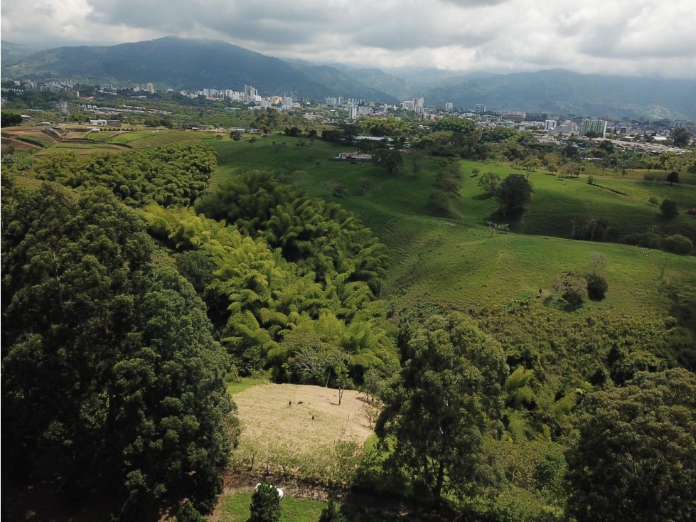 Se Vende Lote Fuera de Conjunto - Sector Hojas Anchas Circasia — foto 5