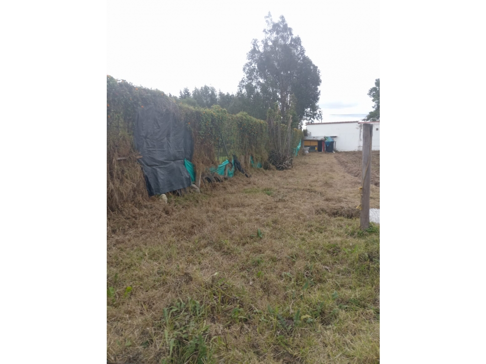 VENTA LOTE 3.161MTS CHIA CONDOMINIO LA ESPERANZA $ 1.896.000.000