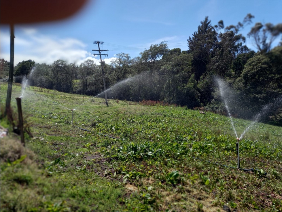 VENTA FINCA CHOCONTA 40 FANEGADAS $ 5.000.000.000 - 2