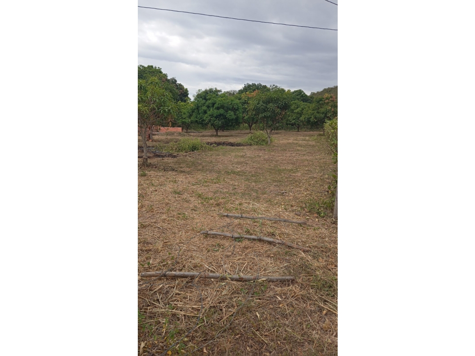 LOTE EN VENTA DE 2.800 MTS, VEREDA CHAGUALA VIA IBAGUE — foto 2