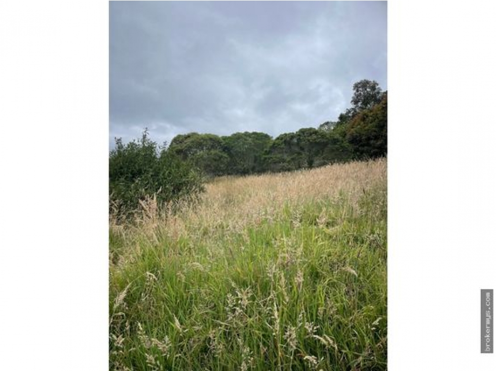 VENTA LOTE SOPO HORIZONTES 191MTS $ 500.000.000