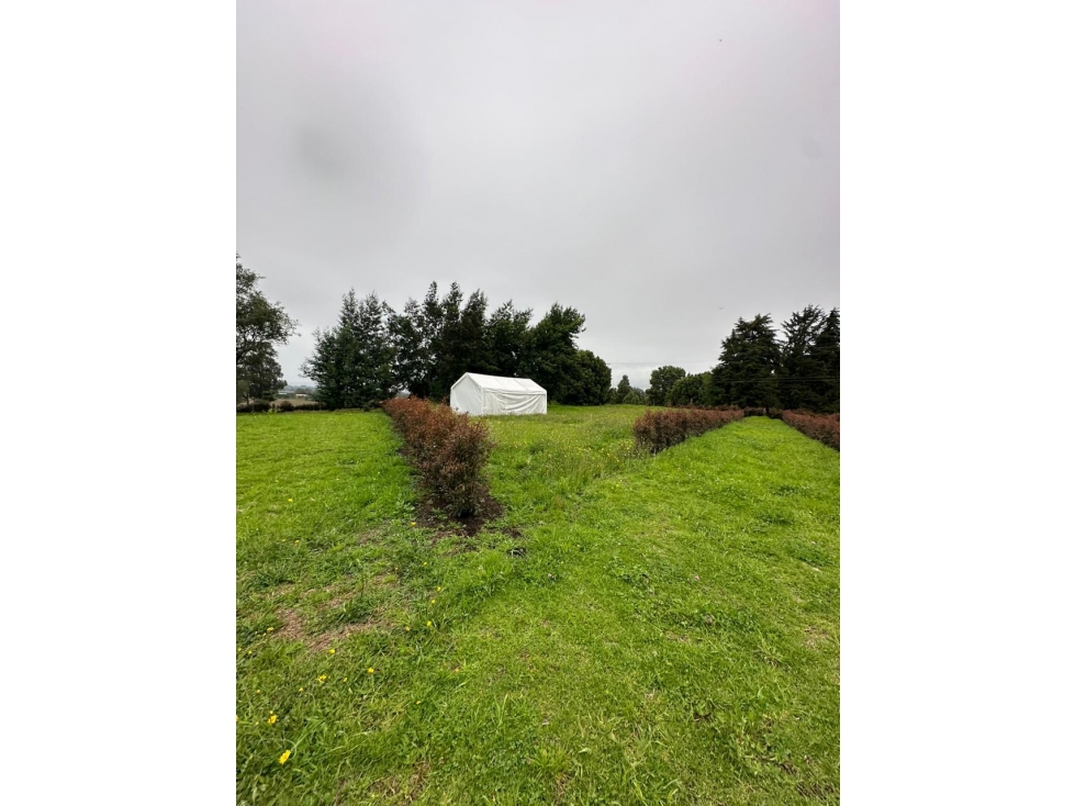 VENTA DE LOTES FACATATIVA (4) 2.300MTS $ 330.000.000 CADA UNO