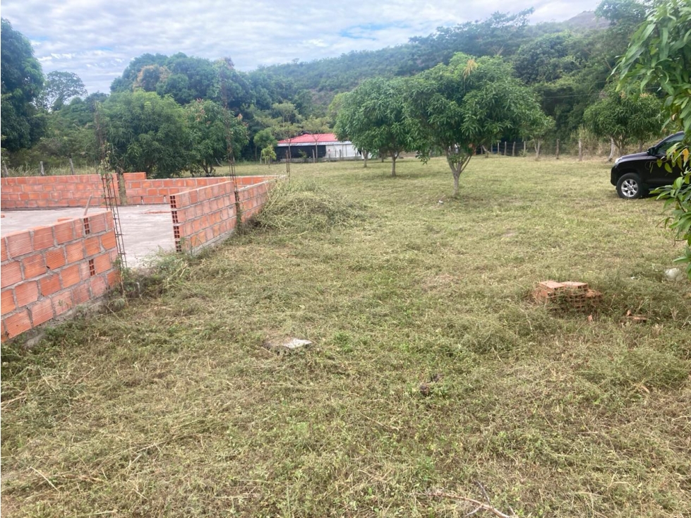 LOTE EN VENTA DE 2.800 MTS, VEREDA CHAGUALA VIA IBAGUE — foto 3