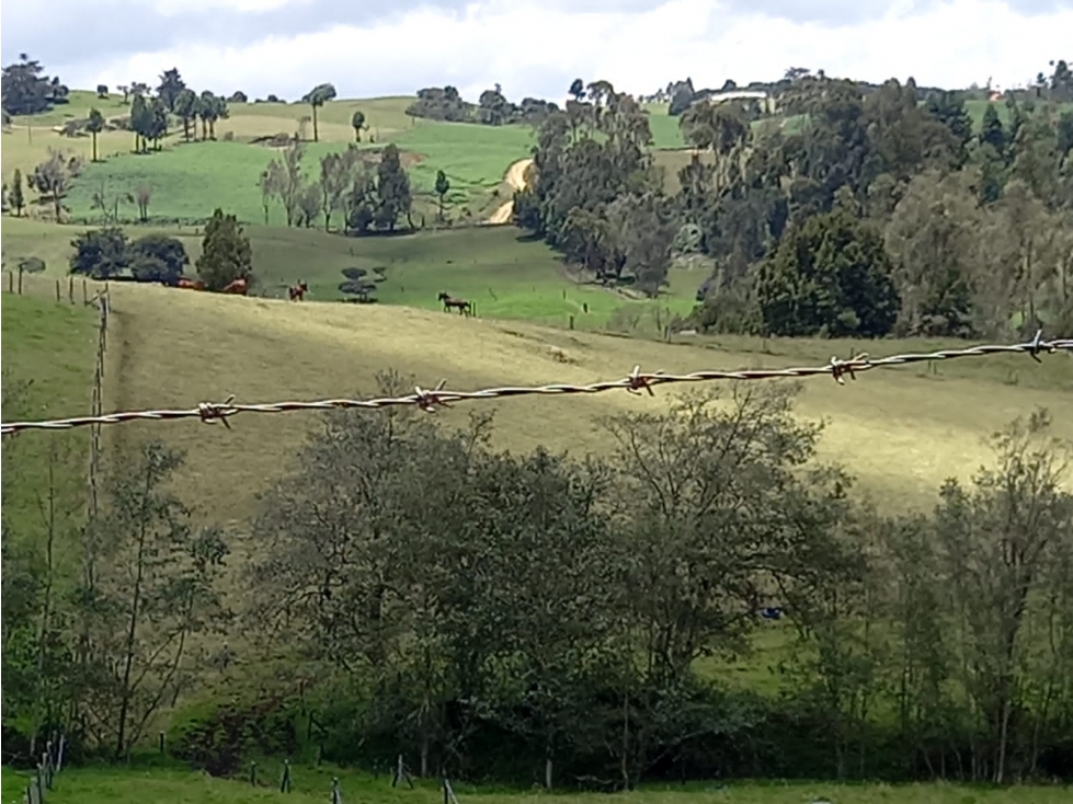 VENTA FINCA CHOCONTA 40 FANEGADAS $ 5.000.000.000 - 1