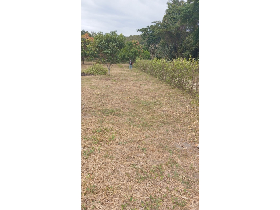 LOTE EN VENTA DE 2.800 MTS, VEREDA CHAGUALA VIA IBAGUE