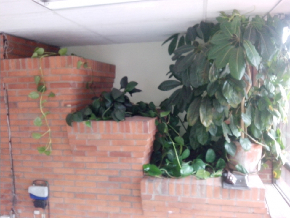 VENTA LOCAL DE 300 METROS, BARRIO SANTA MARGARITA. — foto 4