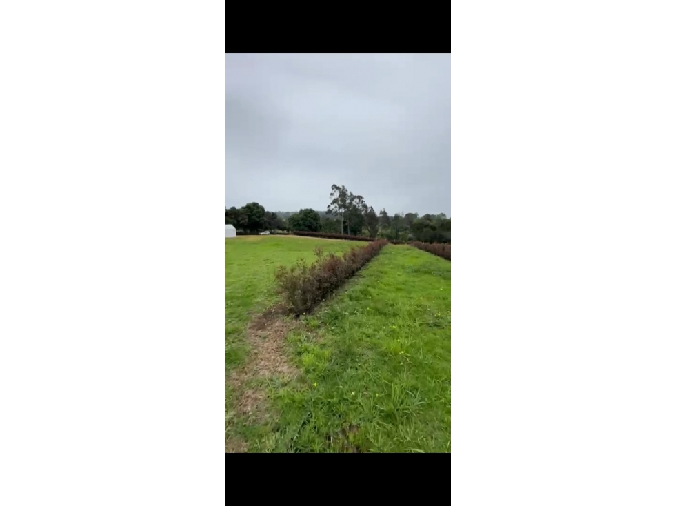 VENTA DE LOTES FACATATIVA (4) 2.300MTS $ 330.000.000 CADA UNO — foto 4