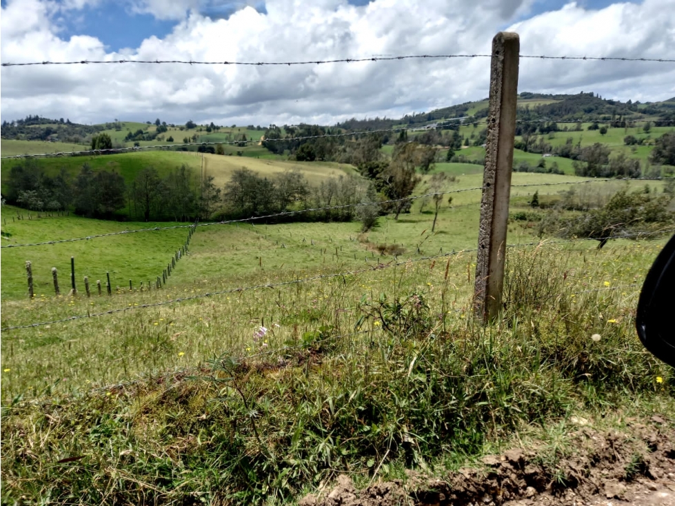 VENTA FINCA CHOCONTA 40 FANEGADAS $ 5.000.000.000 - 3