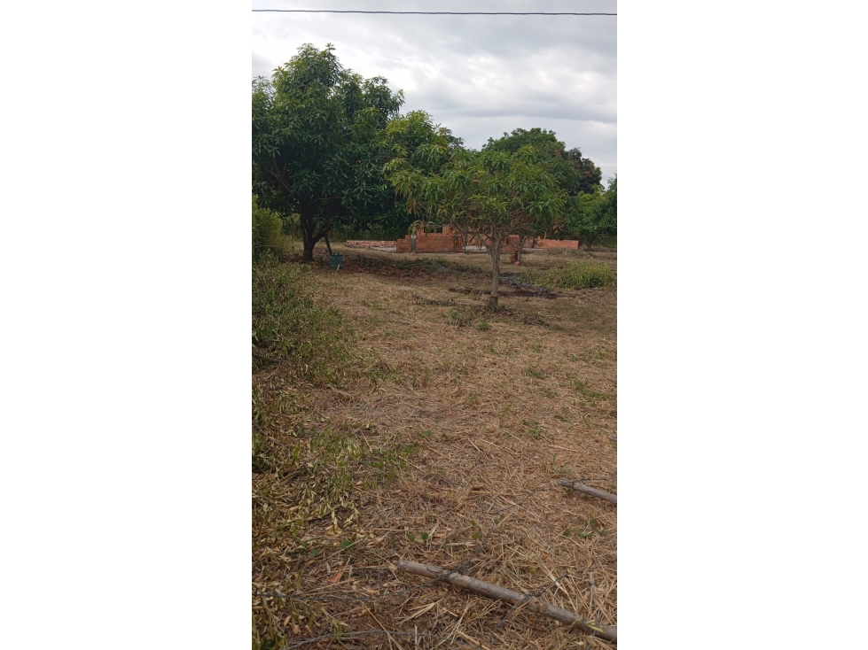 LOTE EN VENTA DE 2.800 MTS, VEREDA CHAGUALA VIA IBAGUE — foto 4