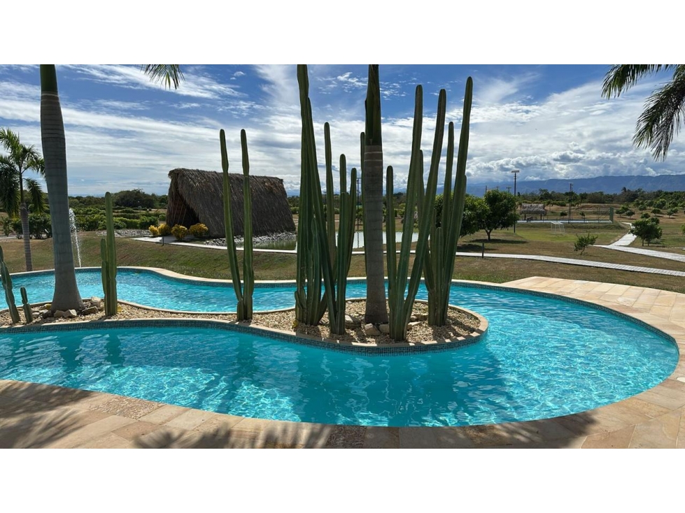 LOTE EN VENTA DE 1.500 MTS, UBICADO GUAMO TOLIMA - 5