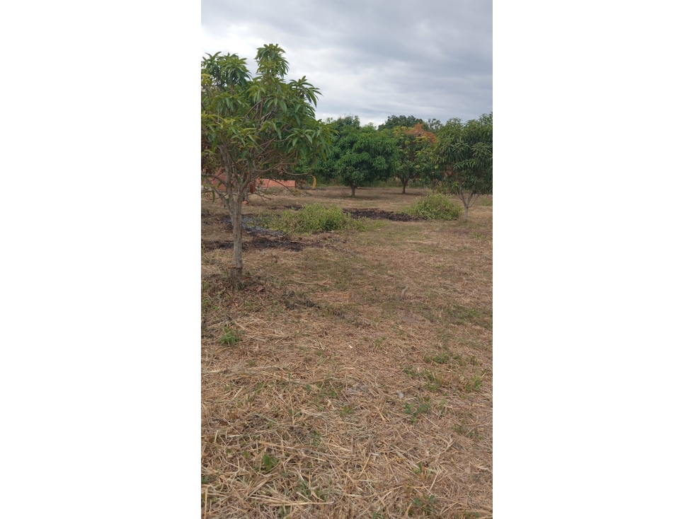 LOTE EN VENTA DE 2.800 MTS, VEREDA CHAGUALA VIA IBAGUE — foto 5