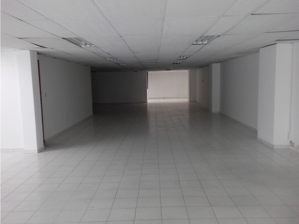 VENTA LOCAL DE 300 METROS, BARRIO SANTA MARGARITA. — foto 6