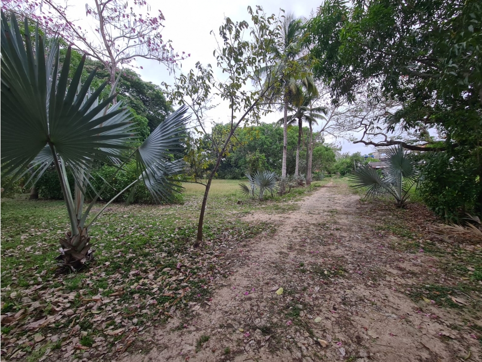 LOTE - CASA FINCA EN BAYUNCA — foto 3
