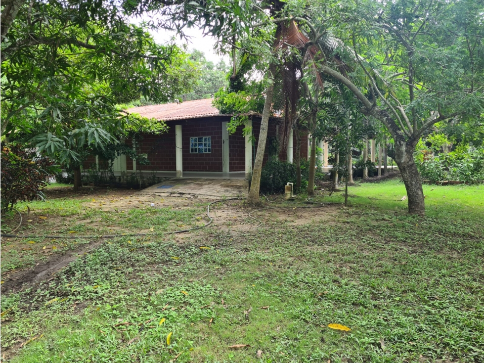 LOTE - CASA FINCA EN BAYUNCA — foto 5