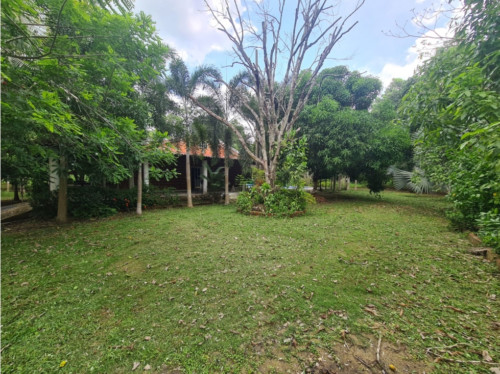 LOTE - CASA FINCA EN BAYUNCA — foto 6